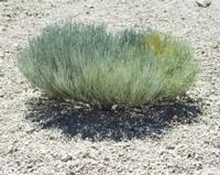 06-10-2001 : Tenerife, Jour 01, El Portillo JB, las Cañadas