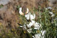 05-27-2009 : La Palma, Jour 05, Roque de los muchachos, Caldera de Taburiente, Observatoires, El Time