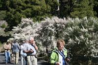 05-27-2009 : La Palma, Jour 05, Roque de los muchachos, Caldera de Taburiente, Observatoires, El Time