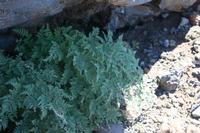 05-27-2009 : La Palma, Jour 05, Roque de los muchachos, Caldera de Taburiente, Observatoires, El Time